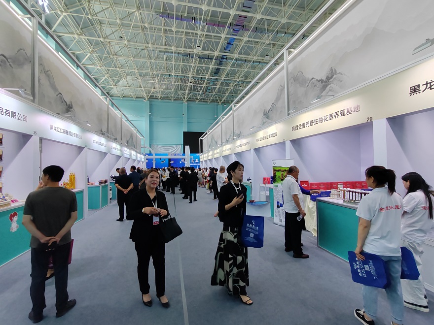 4962e4d6f09c0113a3810878e9d9313